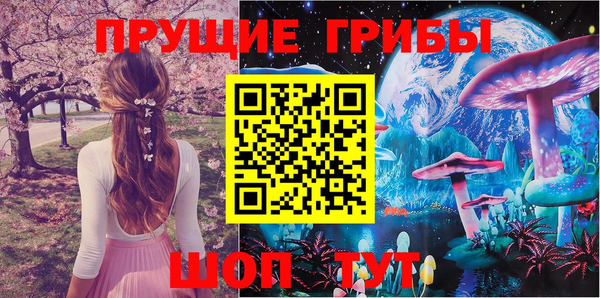 Псилоцибиновые грибы прущие грибы Благодарный